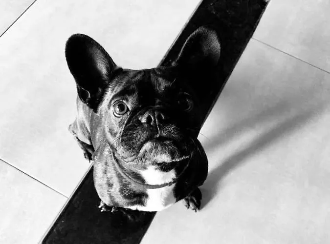 Hotel Zoello Je Suis Castelvetro di Modena